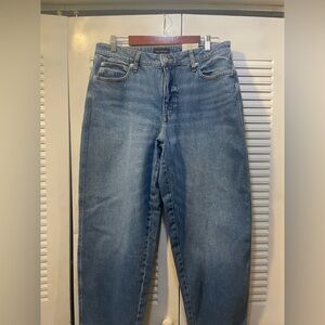 Free Assembly Wide Hem Barrel Jeans
Lt Blue Indigo